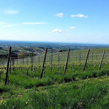 Ferienhof Vordere Alm 奥伯基希 外观 照片