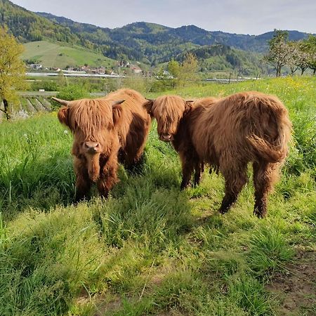 Ferienhof Vordere Alm 奥伯基希 外观 照片