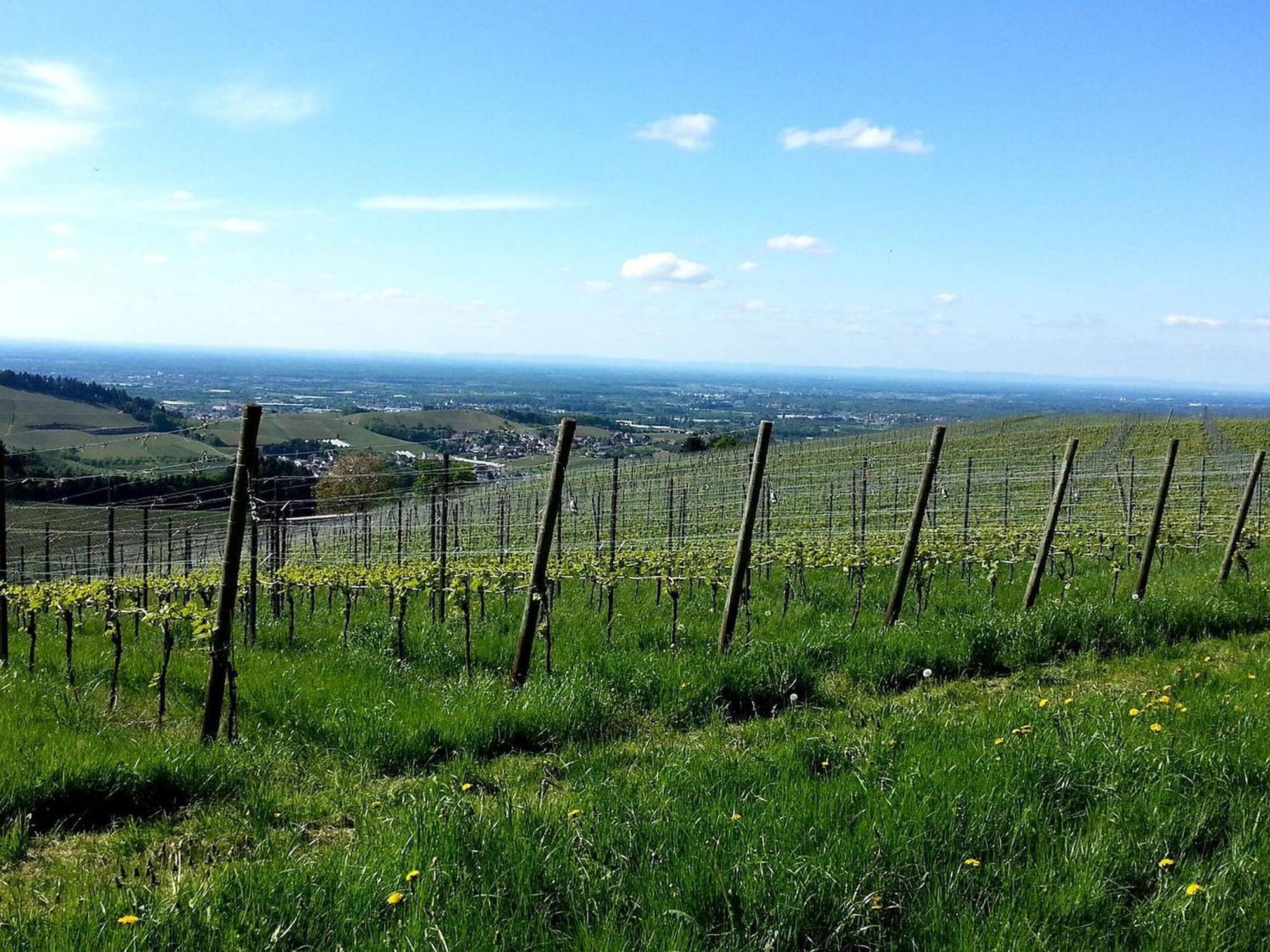 Ferienhof Vordere Alm 奥伯基希 外观 照片
