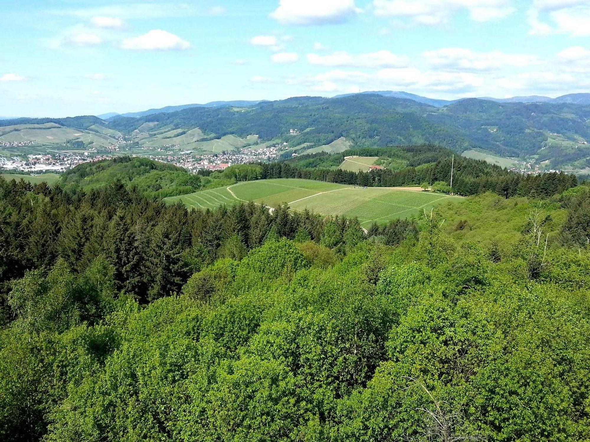 Ferienhof Vordere Alm 奥伯基希 外观 照片